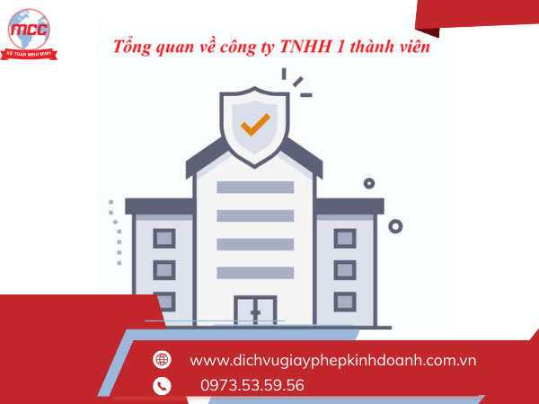 Tổng quan về công ty TNHH 1 thành viên